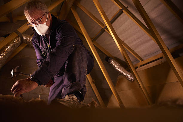 Best Geographic-Specific Insulation Services in Stratford, TX